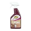 OdoBan Pet Odor & Stain Carpet Pretreatment, 24 Ounce
