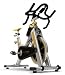 LiveStrong S Bike Indoor Cycling