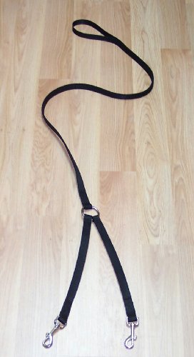 2 Dog Leash, several colors, By Leash Lady