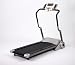 Sporting Goods : Weslo One Step Treadmill