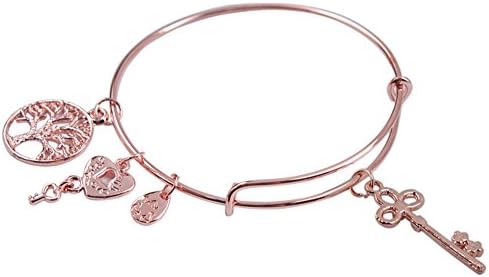 JIYIJewelry (TM) Rose Gold Plate Expandable Wire Skeleton Key Charm Bracelet Bangle