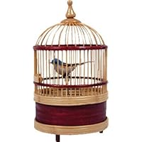 Singing Bird Cage