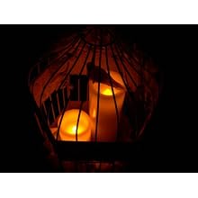 Fortune ProductsCL-P35 Wax Pillar Candle, 3" Diameter x 5" Height