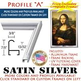 10 x 10 Custom Poster Frame - 10x10 Metal Picture Frames