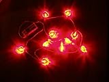 Battery Operated 10 RED LED String Lights Hearts Shaped on Silver Wire 4ft Long. For Use in Floral Arrangements Party, Wedding Decorating, Valentine and More