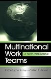 Multinational Work Teams: A New Perspective (Series in Organization and Management)