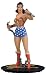 Search : DC Direct DC Chronicles: Wonder Woman Statue