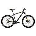 Bergamont Vitox 7.2 MTB Fahrrad grau/gelb matt 2012