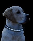 Leuchthalsband Hundehalsband Hunde S blau