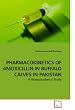 buy amoxicillin