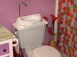 Tierrapath.com Deluxe toilet sink water recycling system