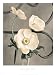 Iron Trellis II - Art Print - 45.7x61.0cm - Art247 Poster Print