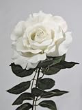 from JustArtificial Artificial Silk Premium Rose Single Stem - 65cm, White, Medium