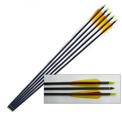 Superfast Carbon Arrow - 30 Long - set of 5