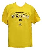 Michigan Wolverines Gold Established Mens Short Sleeve T-Shirt