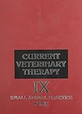 Current veterinary therapy : small animal practice