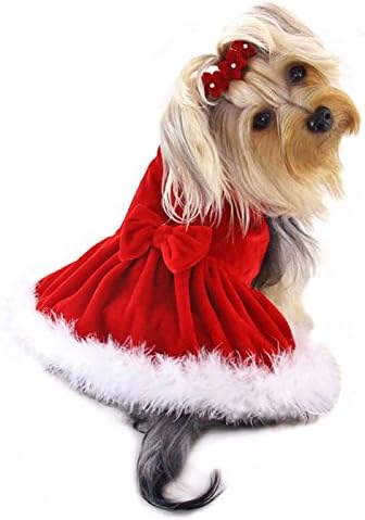 Luxurious Holiday Dog Dress with Boa Trims - M