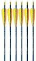 Feather Fletched Easton XX75 Blues Arrows 6-pack