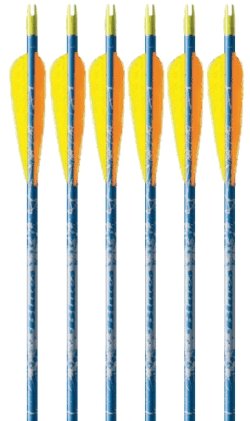 Feather Fletched Easton XX75 Blues Arrows 6-pack