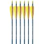 Feather Fletched Easton XX75 Blues Arrows 6-pack