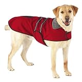 Casual Canine Reflective Jacket