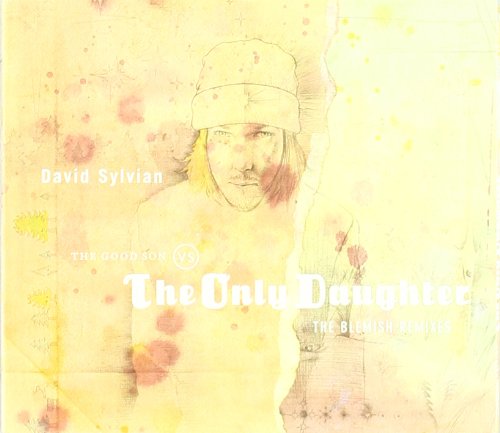 David Sylvian Photo 8