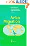 Avian Migration