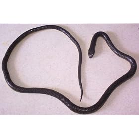 Unique Crafters - 50 Inch Realistic Looking Toy Snake