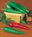 Hot Anaheim Chili Pepper - 30 Seeds