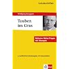 Lekt�rehilfen Wolfgang Koeppen "Tauben im Gras". Ausf�hrliche Inhaltsangabe und Interpretation