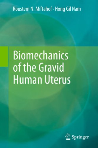 Biomechanics of the Gravid Human Uterus On Sale