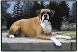 image link - - B001NW42UI