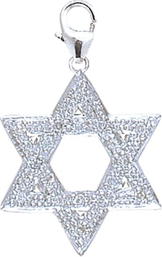 Childrens Toyshop  Jewelry : 14k Gold Diamond Star of David Charm (1/10 cttw)