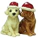 Mwah Holiday Labs Salt and Pepper Shakers by Westland Giftware