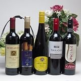 セレクション赤ワイン5本福袋セット (イタリア2本 チリ1本 ドイツ1本 スペイン1本)計750ml×5本