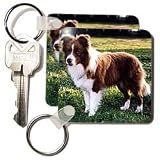 Dogs Border Collie - Border Collie Tan and White - Key Chains