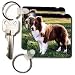 Dogs Border Collie - Border Collie Tan and White - Key Chains