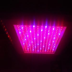 Pro Series Full Spectrum 300 Watt 300W LED Quad Band Hydroponic Grow Light Replacement for 1000 Watt HPS by LEDwholesalers, 2511RBOW