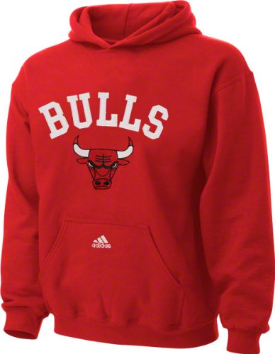 Chicago Bulls Youth Red Arched Logo Fleece Hooded Sweatshirt