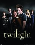 Empire 160270 Twilight Group - Mini-Poster, Mini-Plakat ca. 40 x 50 cm
