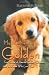 My Rescued Golden: True Stories of Rescued Golden Retrievers and the People Who Love Them