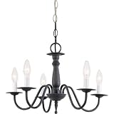 Sea Gull Lighting 3121-72 Traditional 5-Light Chandelier - Olde Iron