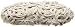 Stuart Weitzman Knit Wit Satchel