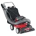 Tools & Hardware : Troy-Bilt 5.5 HP Chipper Shredder Vacuum #24B060F-766