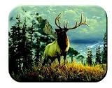 Tuftop Tempered Glass Kitchen Board, Wildlife Collection - Elk