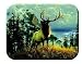 Tuftop Tempered Glass Kitchen Board, Wildlife Collection - Elk