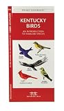 Kentucky Birds: An Introduction to Familiar Species (State Nature Guides)