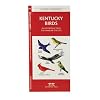 Kentucky Birds: An Introduction to Familiar Species (State Nature Guides)