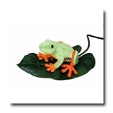 Sprite the Green Tree Frog Plush Toy