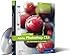 Adobe Photoshop CS3: Die Workshops für Einsteiger (Galileo Design)